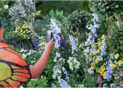 Pollinator-Palooza | Arroyo Burro Open Space