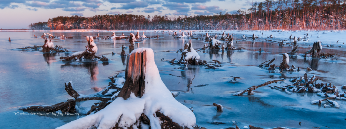 Pre-Concert Lecture: Forces of Nature