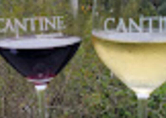 Cantine 12th Anniversary Party