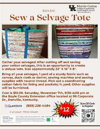 Sew a Selvage Tote