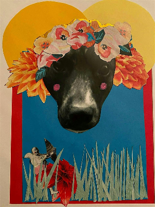 Pet Portrait Collage Class