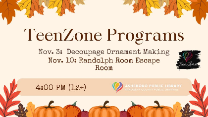 TeenZone Programs