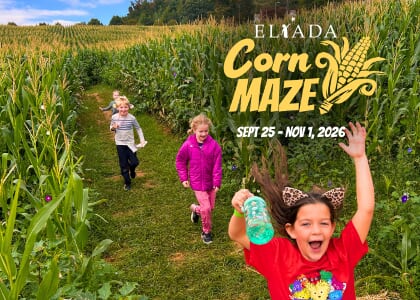Eliada Corn Maze & Fall Festival