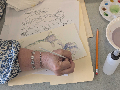 Botanical Drawing for Beginners (4-sessions)