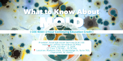 What to Know About Mold