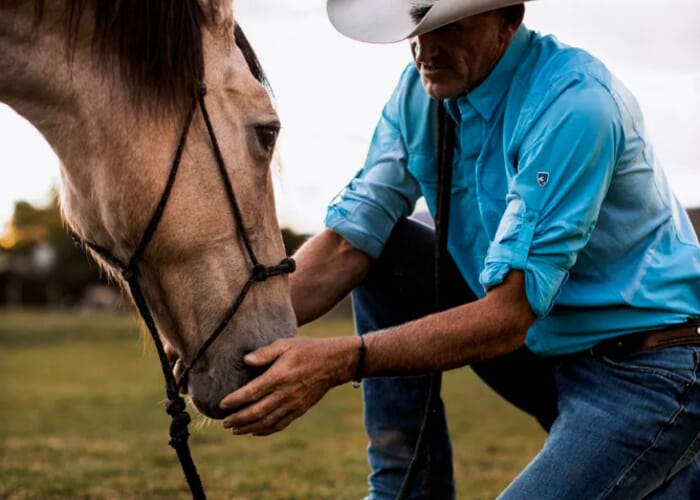 Life Lessons Learned From Horses with TEDx Speaker & Horseman, West Taylor