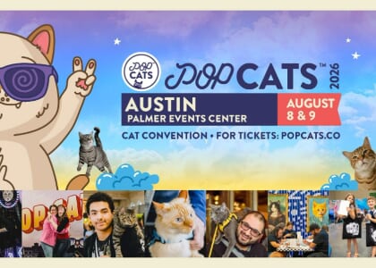 POP Cats Austin