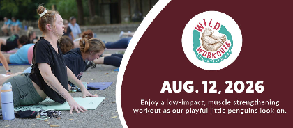 Wild Workout: Pilates (Little Penguin