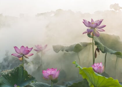 The Open Page: A Meditative Writing Circle