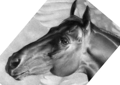 “Horse Power” Exhibition