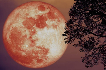 Full Moon Gathering and Fire Ceremony
