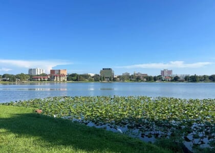 Stroll at Lake Morton