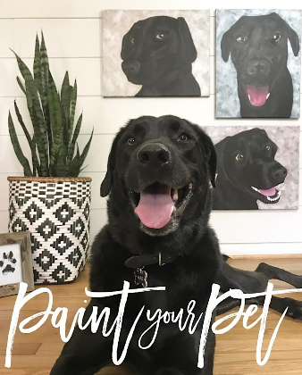 Paint Your Pet