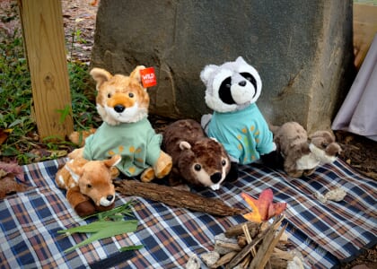 Teddy Bear Picnic