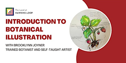 Workshop: Introduction to Botanical Illustration