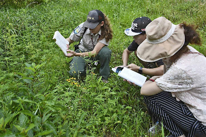 Flora Field Day: Allens Creek SRA