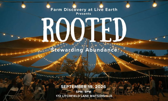 Rooted Fall Feast in the Fields
