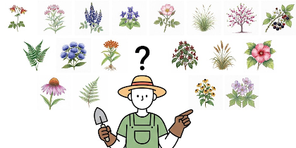How to Choose and Combine Native Plants and Trees for a Great Garden