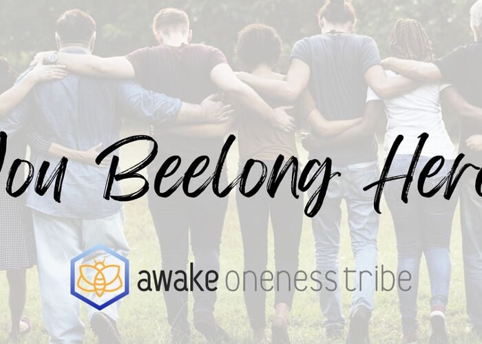 Vibe With Your Tribe - Family Potluck! Arlington Heights (Weekly/Sunday)