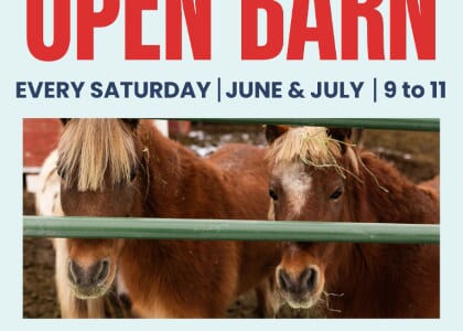 Open Barn