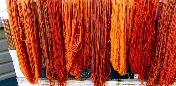 Poster for Thursdays in the Learning Garden: Hands on Dyeing with Madder