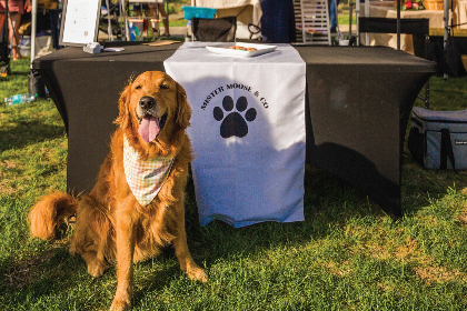Paws & Pours: Good Dog Academy