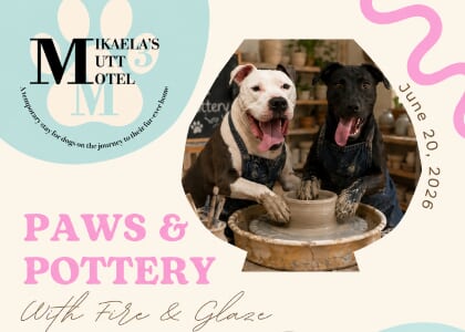 Paws And Pottery With Fire And Glaze