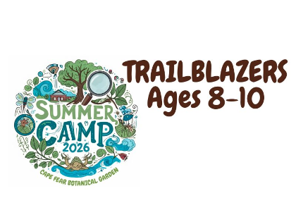 Day Camp: Animal Architects