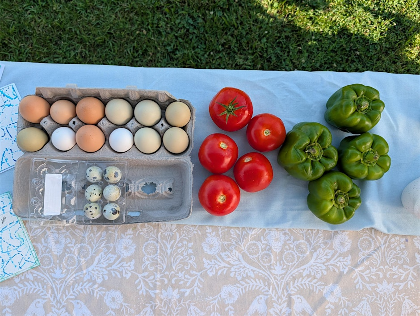 Tomatoes 101