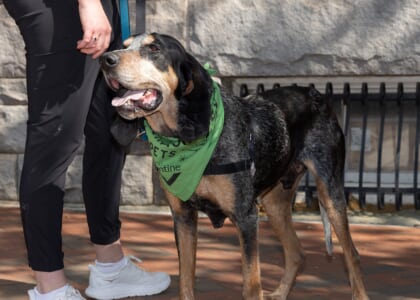 History Hounds Explore Scott's Addition
