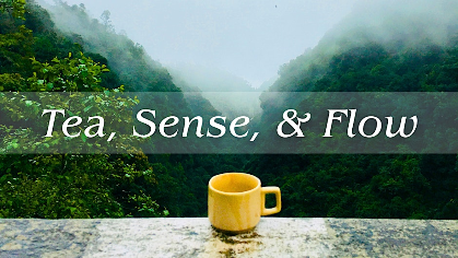 Tea, Sense, and Flow