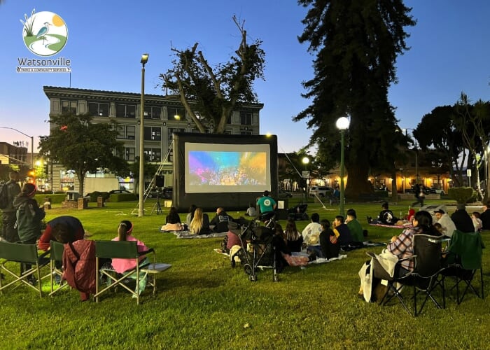 Movies in the Park