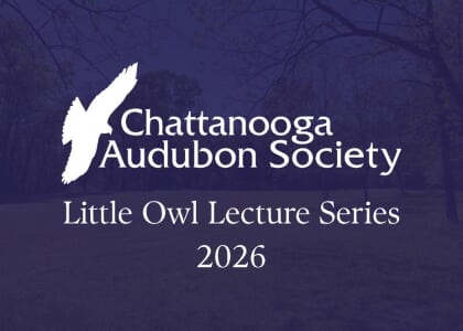 Little Owl Lecture Series 2026