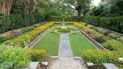 Plein Air Painting in the Gardens