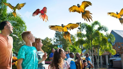 Conservation Connections: American Zoo Day 2026
