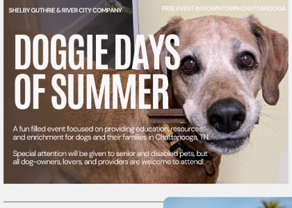 Doggie Days of Summer