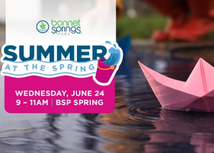 Summer at the Spring