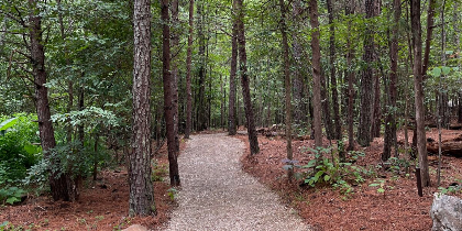 Guided Trail Walk