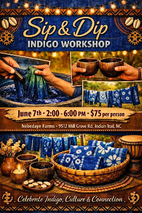 Sip and Dip - The Indigo Flow