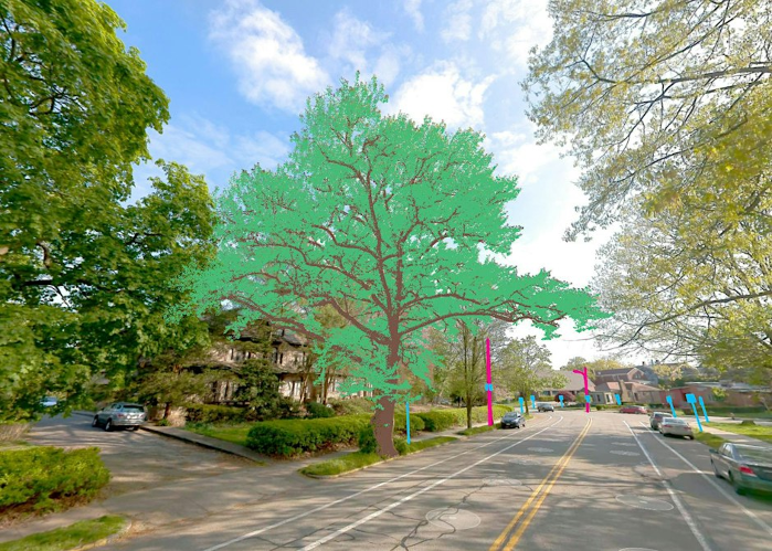 Advancing Urban Forest Management Through Technology