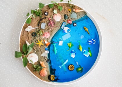 Little Explorers Dig the Beach at Benjamin Branch