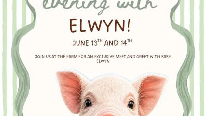 Evening with Elwyn