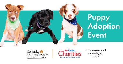 PetSmart Puppy Adoption Event
