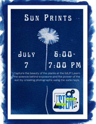 Sun Prints