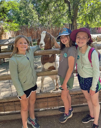 Zoo Summer Camps