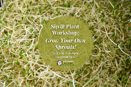 Sip & Plant Workshop: Grow Your Own Sprouts!