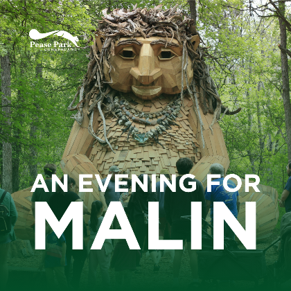 An Evening for Malin
