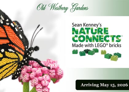Sean Kenney’s Nature Connects® Made with LEGO® Bricks