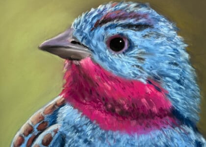 Pastel Painting for Pleasure with Suzanne Miller