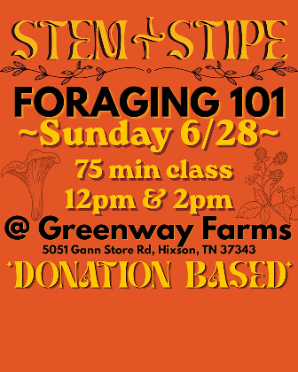 Foraging 101